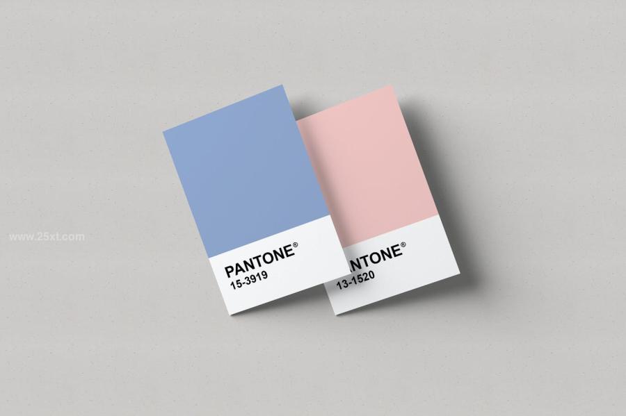 25xt-488361 Pantone-Card-Mockupsz7.jpg