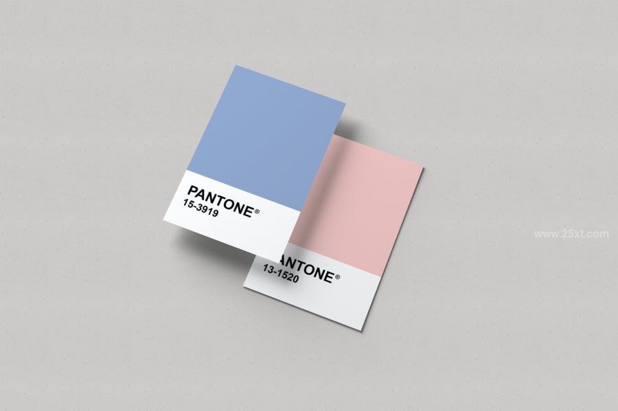 25xt-488361 Pantone-Card-Mockupsz8.jpg