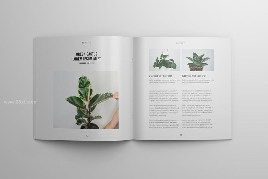 25xt-488365 Square-Magazine-Portfolio-Templatez3.jpg