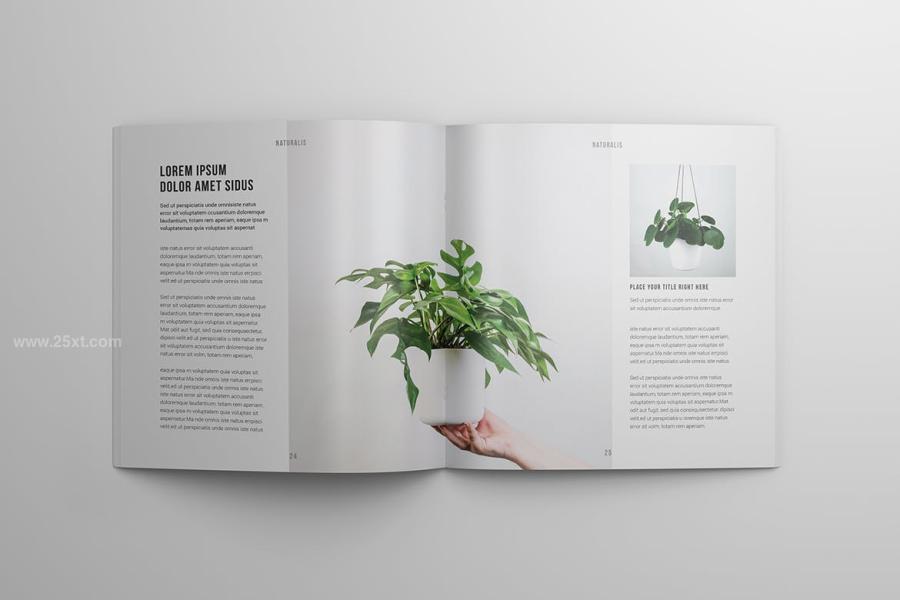 25xt-488365 Square-Magazine-Portfolio-Templatez8.jpg