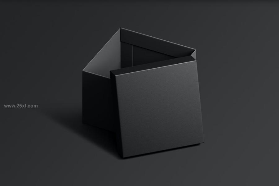 25xt-488366 Box-Mockupz4.jpg