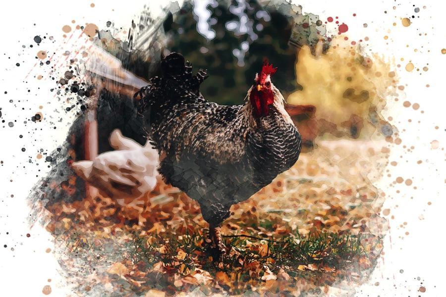 25xt-488105 Watercolor-Painting-Photo-Effect-Photoshopz8.jpg