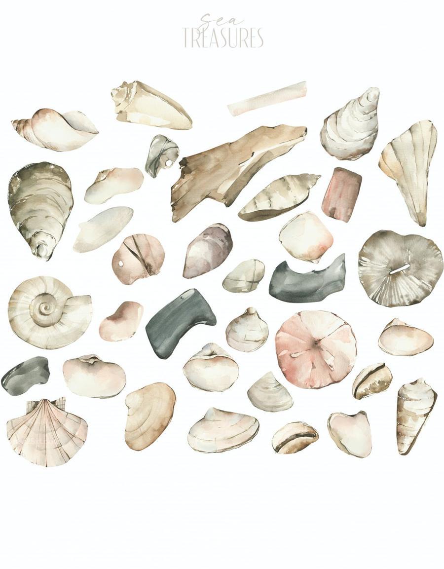 25xt-488654 Watercolor-clipart-Sea-treasures-Nautical-clipartz3.jpg