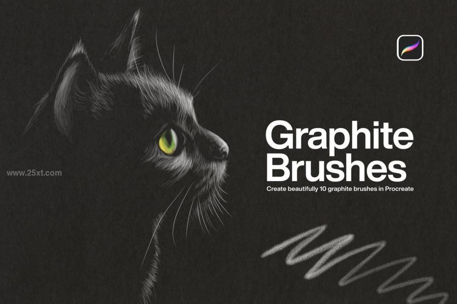 25xt-488458 10-Graphite-Brushes-Procreatez2.jpg