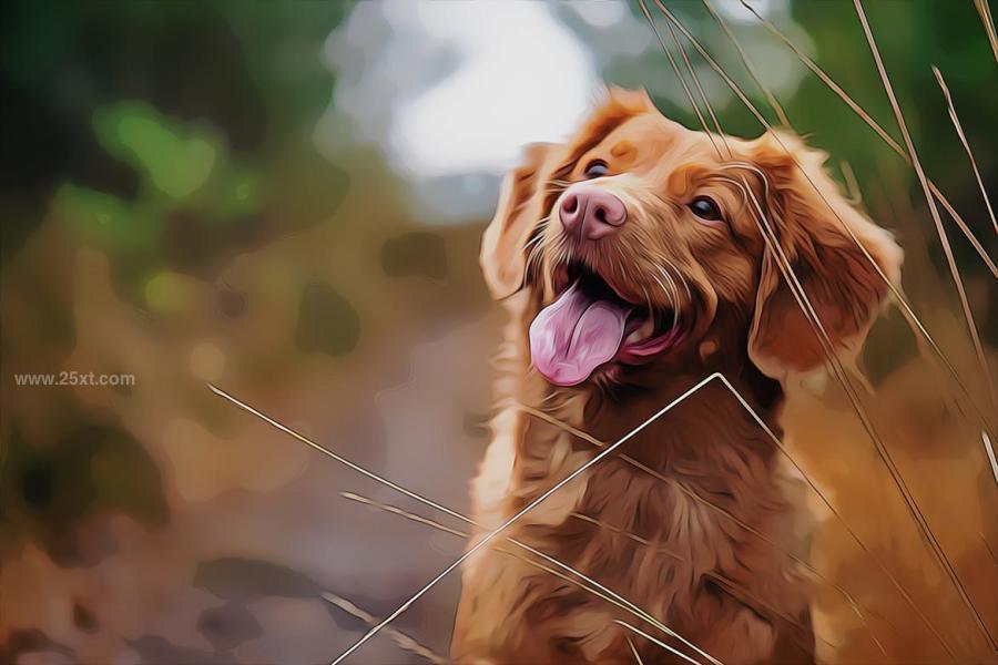 25xt-488465 Pets-Paint-Photoshop-Effectz3.jpg