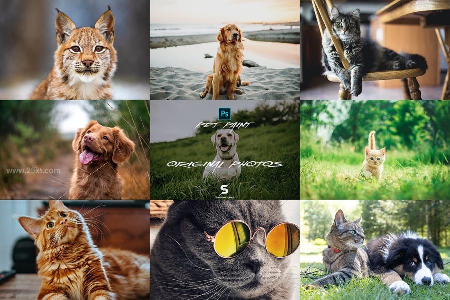 25xt-488465 Pets-Paint-Photoshop-Effectz8.jpg