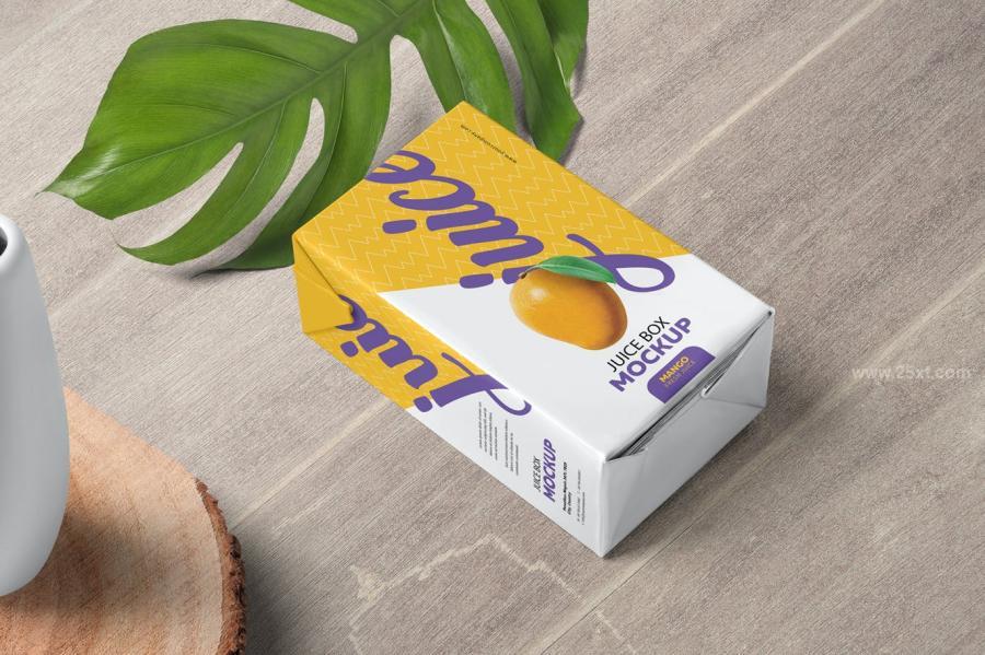 25xt-488692 Juice-Packing-Box-Mockupsz3.jpg