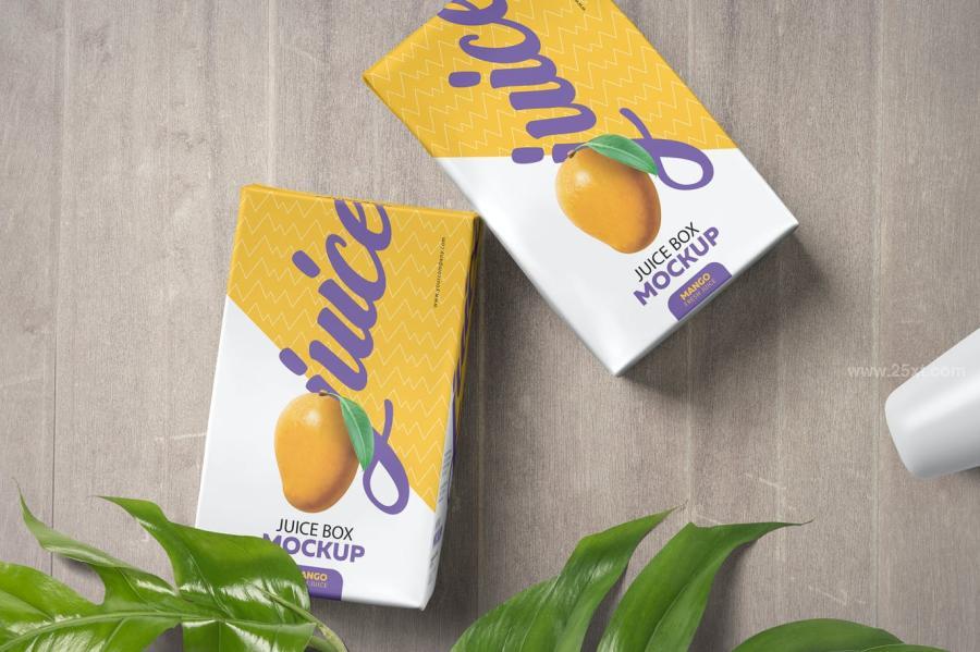 25xt-488692 Juice-Packing-Box-Mockupsz5.jpg