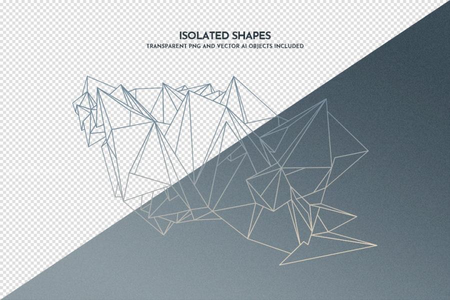 25xt-488714 Wireframe-Geometric-Objects-Photoshop-Brushesz13.jpg