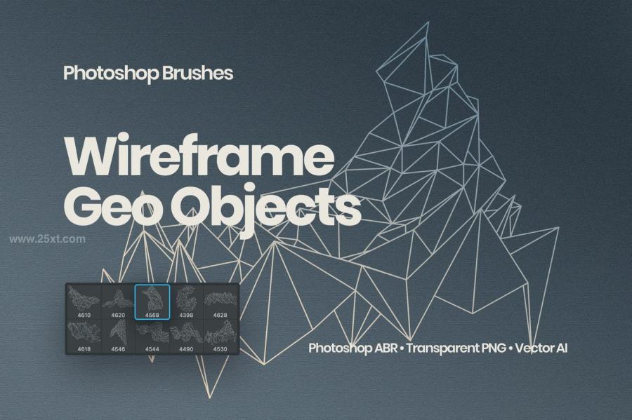 25xt-488714 Wireframe-Geometric-Objects-Photoshop-Brushesz2.jpg