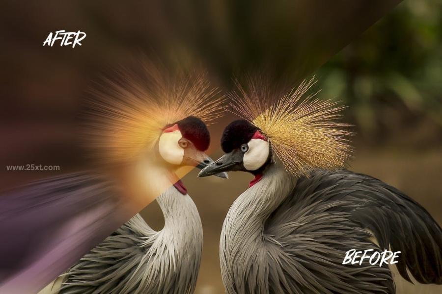 25xt-170988 Zoom-Burst-Photo-Effectz3.jpg