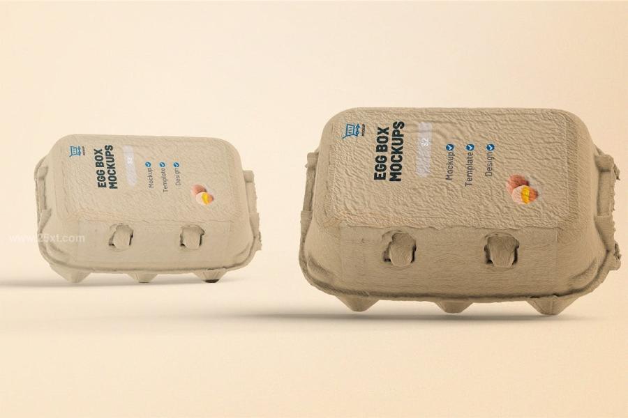 25xt-171134 Egg-Box-Mockupsz3.jpg