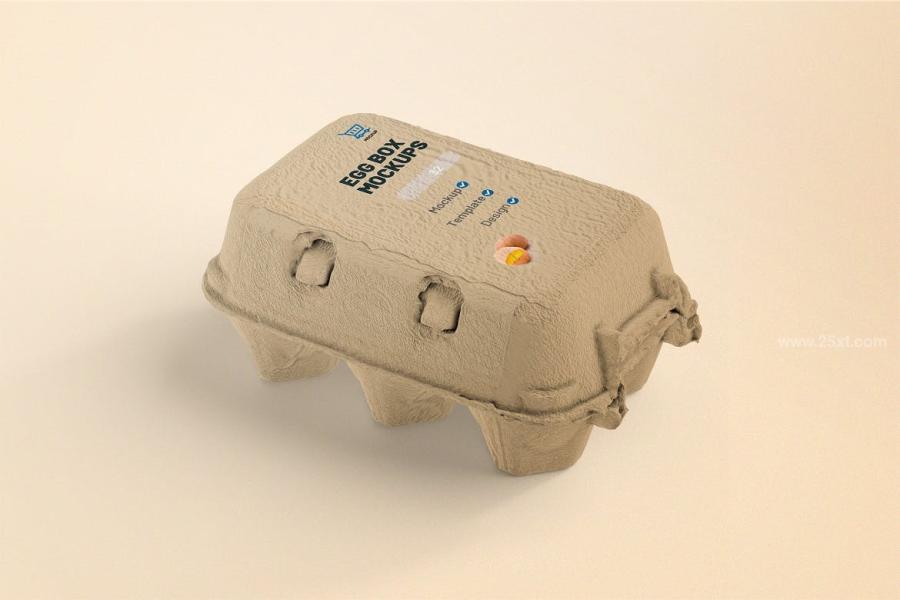 25xt-171134 Egg-Box-Mockupsz5.jpg