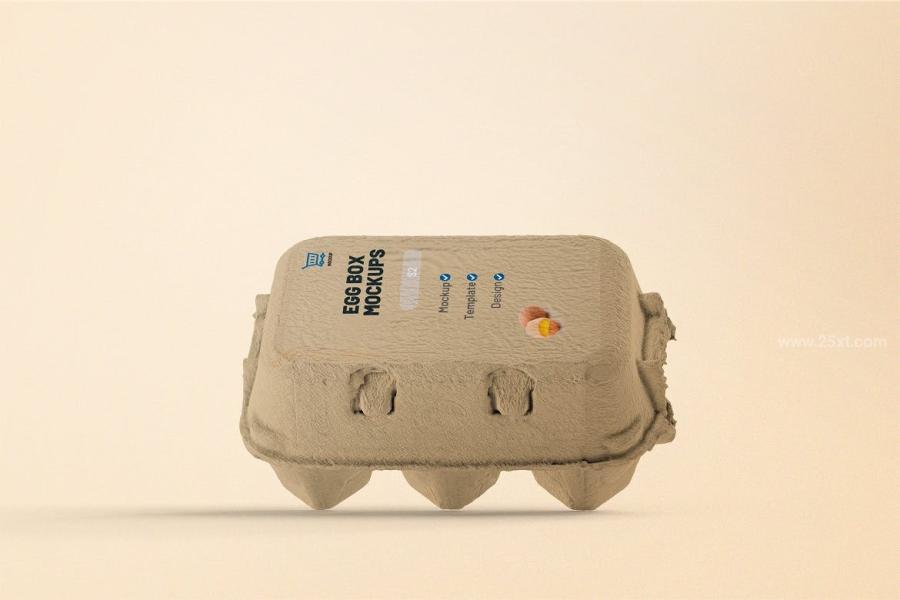25xt-171134 Egg-Box-Mockupsz6.jpg