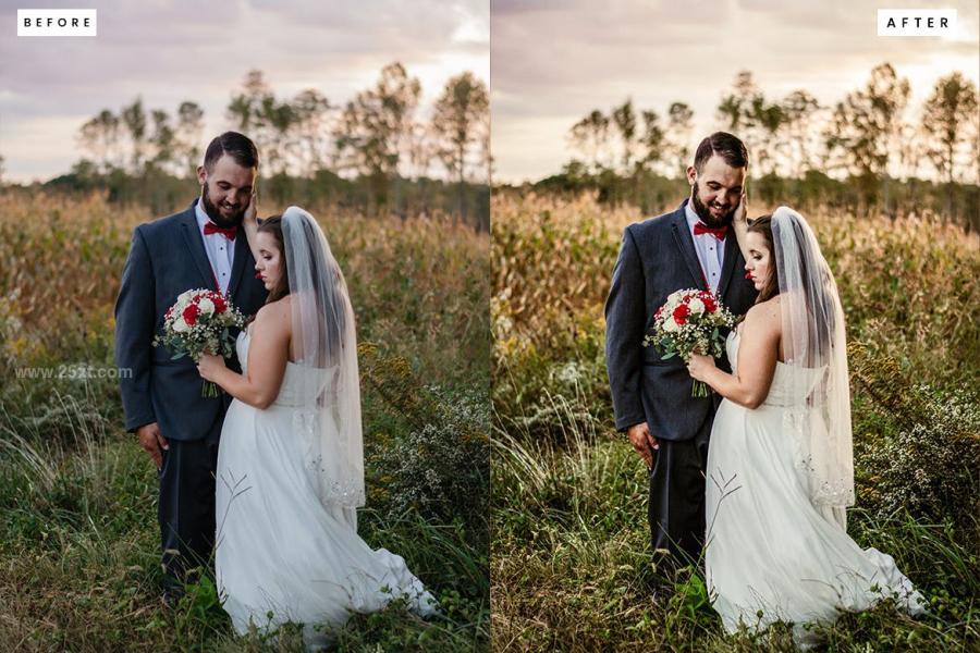 25xt-171331 Earth-Tone-Wedding-Presetsz6.jpg