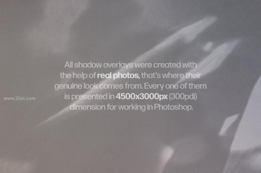 25xt-171388 Shadow-Photo-Overlays-Vol4z7.jpg