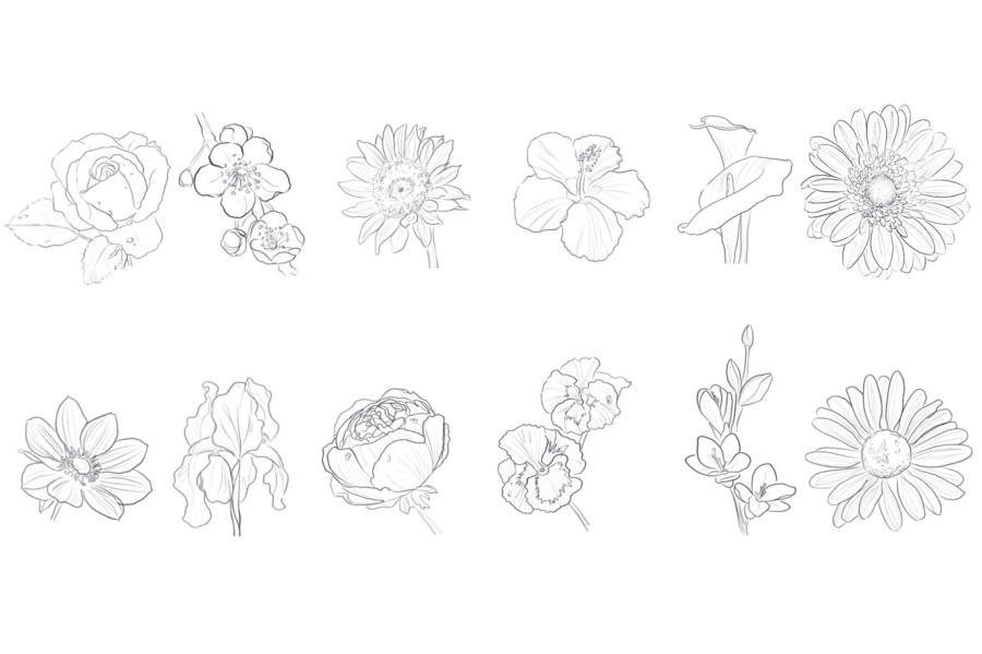 25xt-171396 10-Flowers-Stamps-Procreatez4.jpg