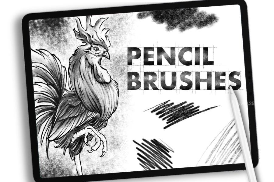 25xt-171538 Dans-Pencil-Brush-Procretae-1z2.jpg