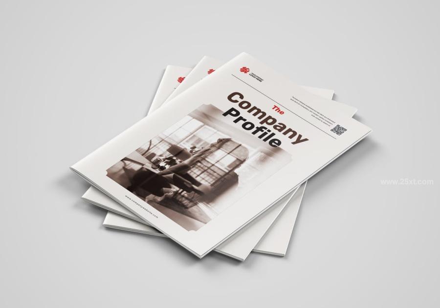 25xt-171576 Company-Profilez10.jpg