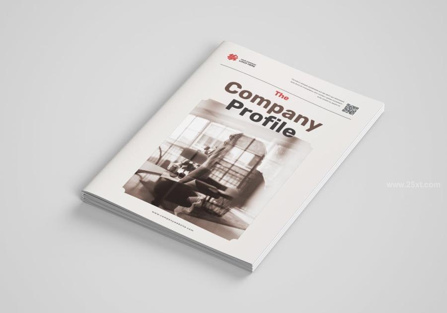 25xt-171576 Company-Profilez4.jpg