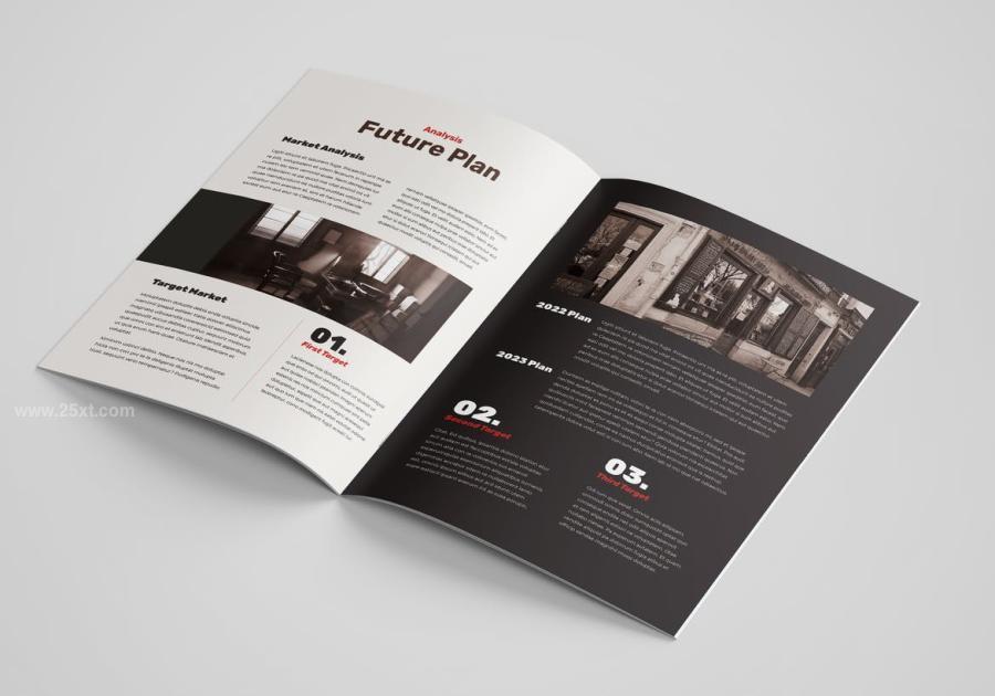 25xt-171576 Company-Profilez6.jpg