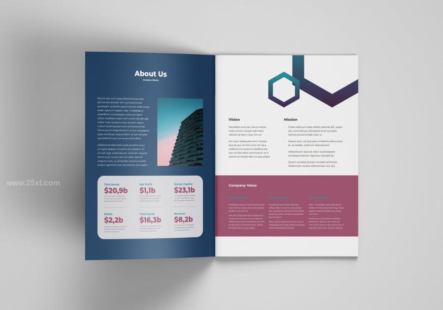 25xt-171578 Company-Profilez3.jpg