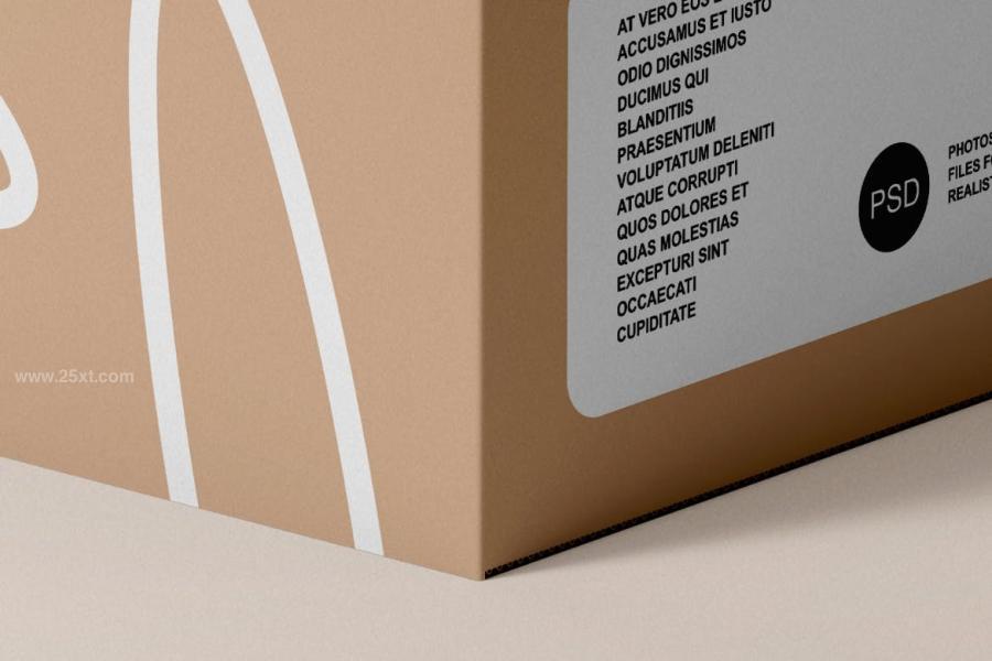 25xt-171583 Paper-Box-Mockupz4.jpg