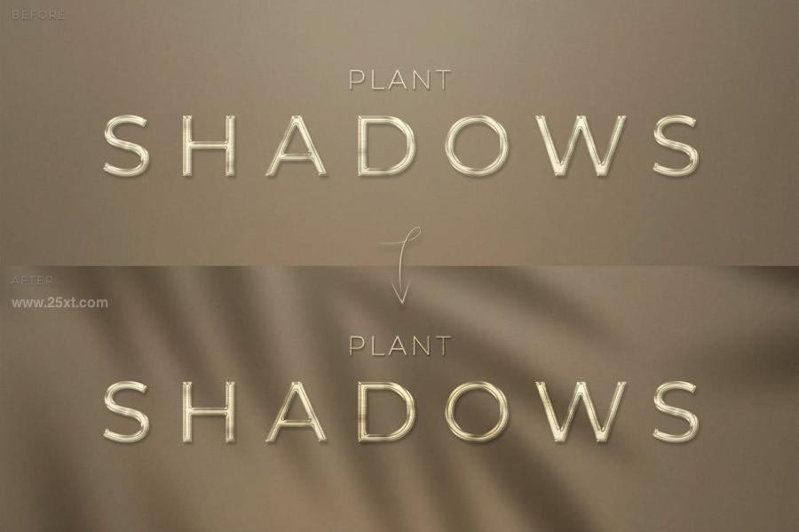 25xt-171630 Plant-Shadows-Packz6.jpg