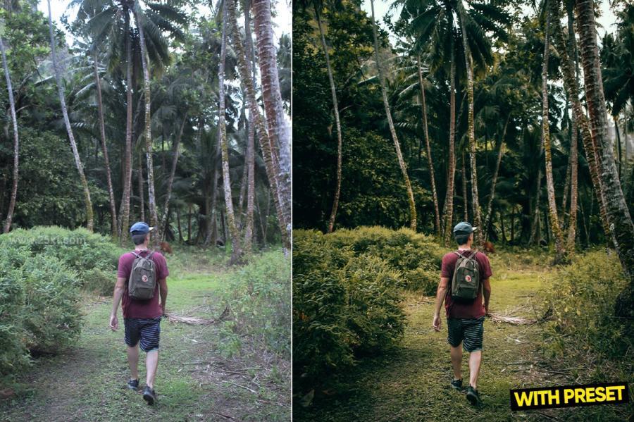 25xt-171739 ARTA---Forest-Green-Presets-for-Lightroomz3.jpg