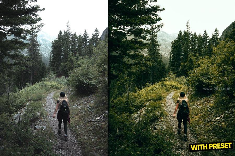 25xt-171739 ARTA---Forest-Green-Presets-for-Lightroomz4.jpg