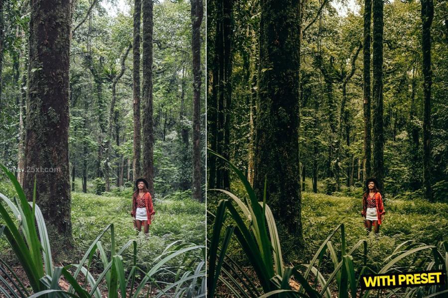 25xt-171739 ARTA---Forest-Green-Presets-for-Lightroomz6.jpg
