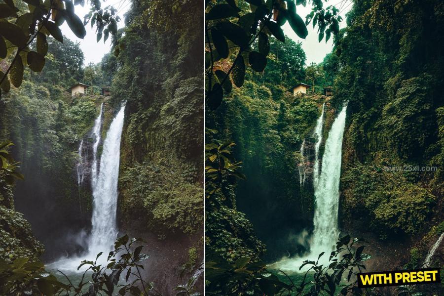 25xt-171740 ARTA---Jungle-Presets-for-Lightroomz3.jpg