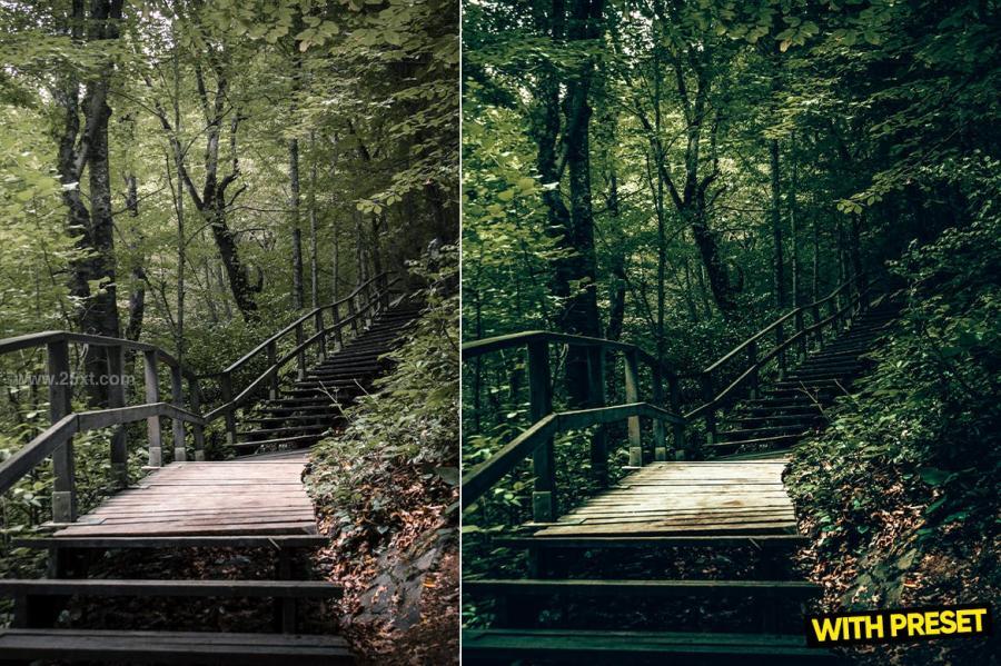 25xt-171740 ARTA---Jungle-Presets-for-Lightroomz4.jpg