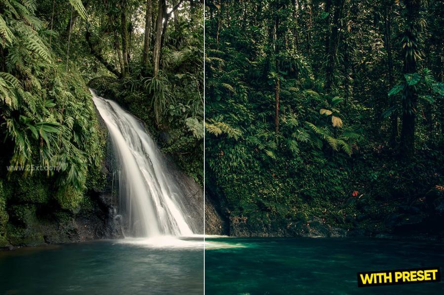 25xt-171740 ARTA---Jungle-Presets-for-Lightroomz6.jpg