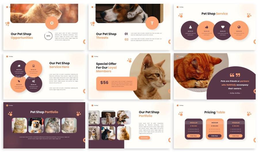 25xt-171206 Pet-Shop---Powerpoint-Presentation-Templatez3.jpg