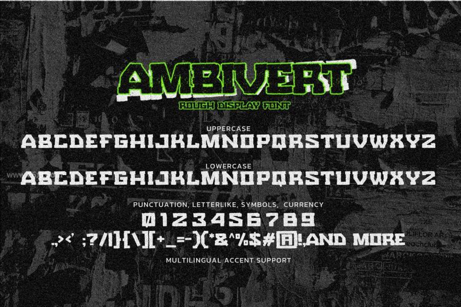 25xt-171306 AMBIVERT---Rough-Display-Fontz6.jpg