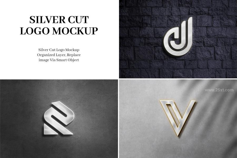 25xt-172022 Silver-Cut-Logo-Mockupz2.jpg