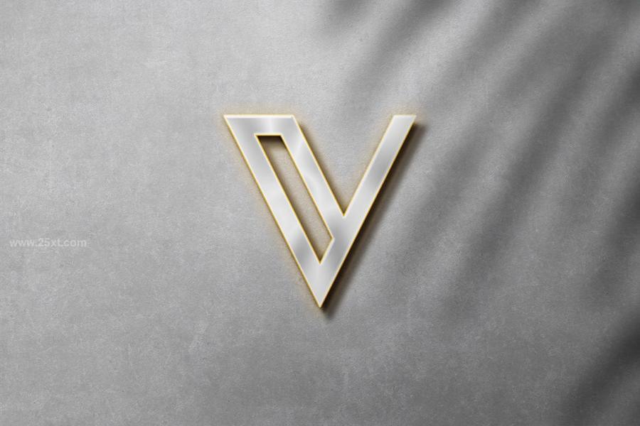 25xt-172022 Silver-Cut-Logo-Mockupz3.jpg