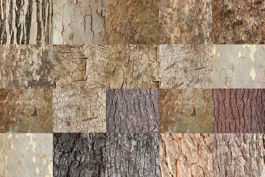 25xt-172118 20-Tree-Bark-Texturesz3.jpg