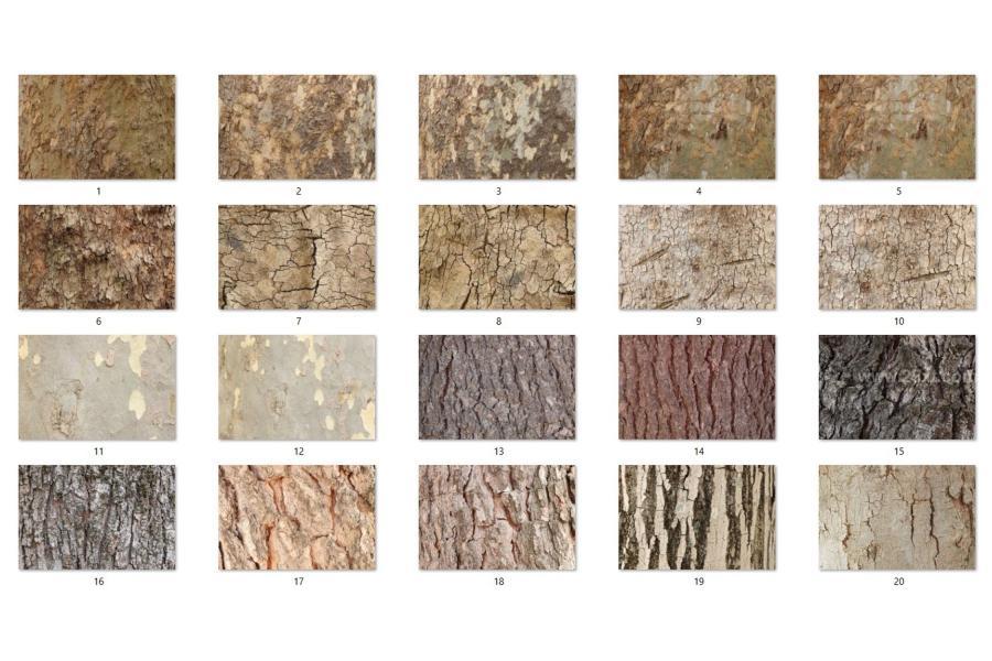 25xt-172118 20-Tree-Bark-Texturesz4.jpg