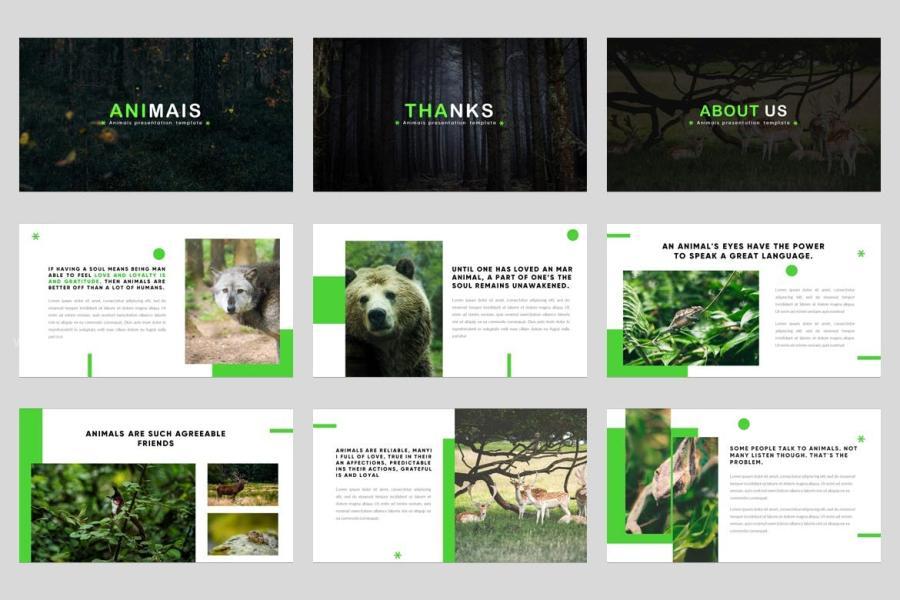 25xt-172154 Animais---Animals-Powerpoint-Templatez8.jpg