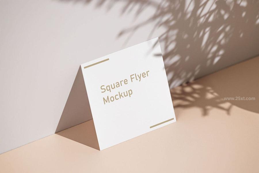 25xt-171852 Square-Flyer-Mock-Upz3.jpg