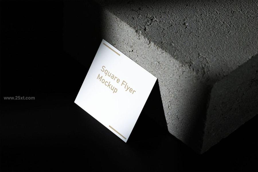 25xt-171852 Square-Flyer-Mock-Upz4.jpg