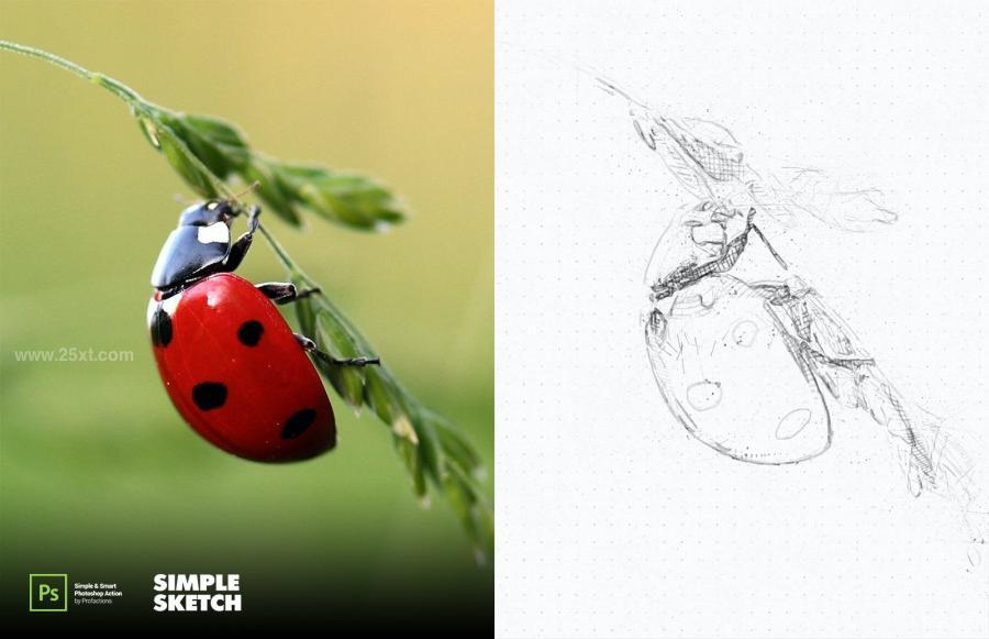 25xt-171855 Simple-Sketch-Photoshop-Actionz15.jpg