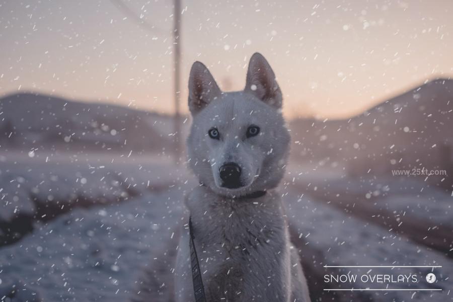 25xt-161976 Realistic-Snow-Overlays-Vol1z4.jpg