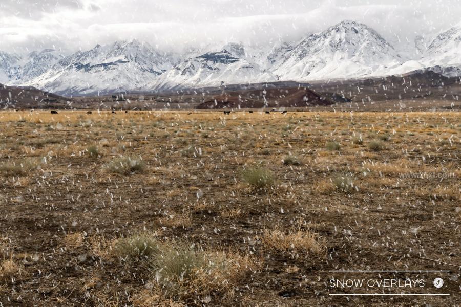 25xt-161977 Realistic-Snow-Overlays-Vol2z5.jpg