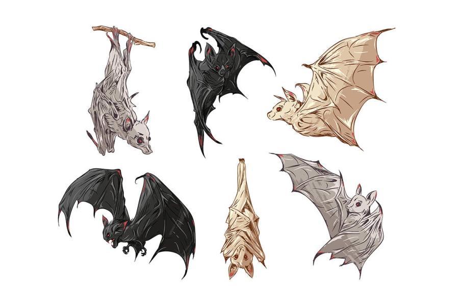 25xt-161981 Halloween-Illustrations--Vector-Graphics-Packz3.jpg