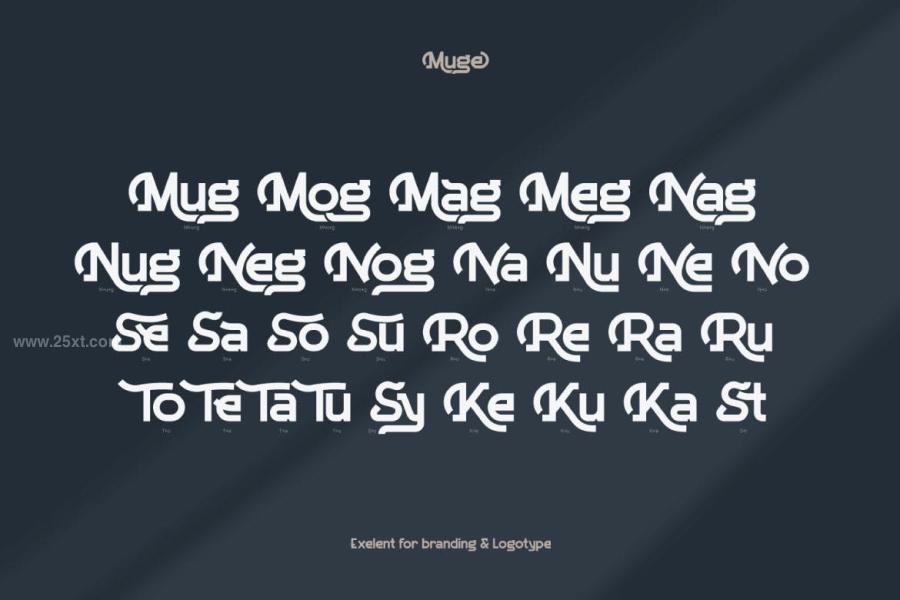 25xt-171930 Mugez15.jpg