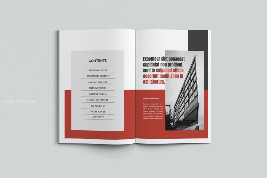 25xt-171969 Company-Profilez12.jpg