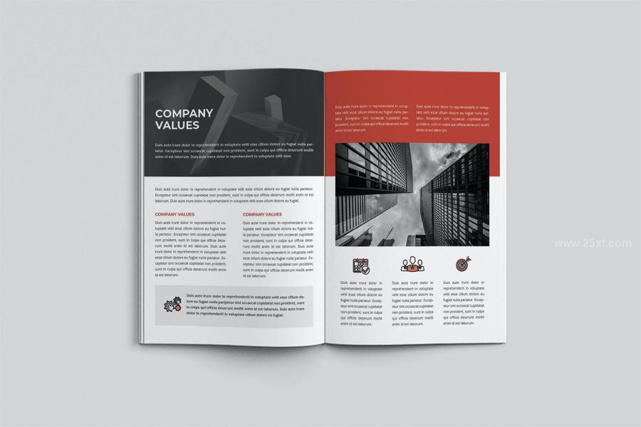 25xt-171969 Company-Profilez7.jpg